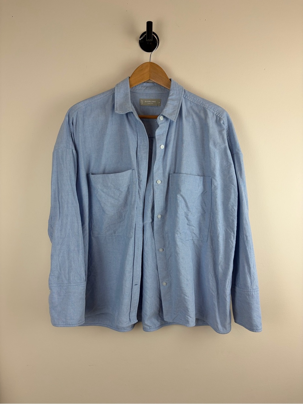 Everlane The Boxy Oxford Light Blue